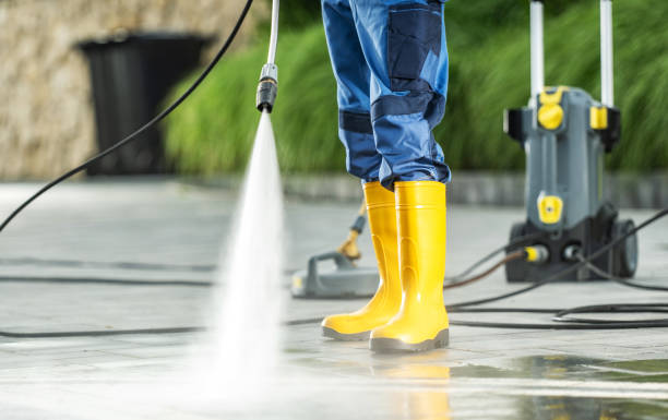 Best Affordable Pressure Washing  in Ozona, TX